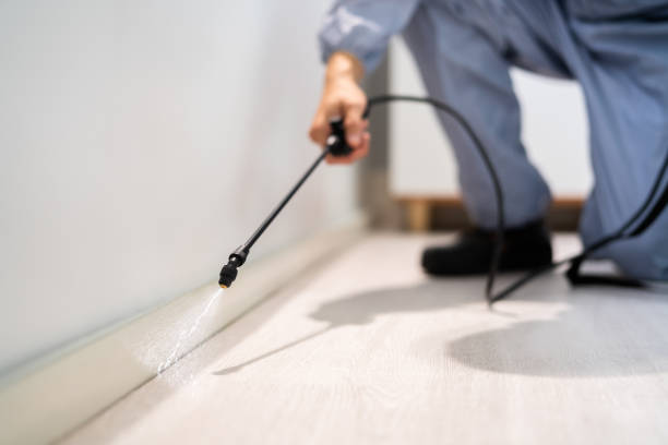 Licensed Mosquito Control service in Fenton, MI - Show Me Pest Control