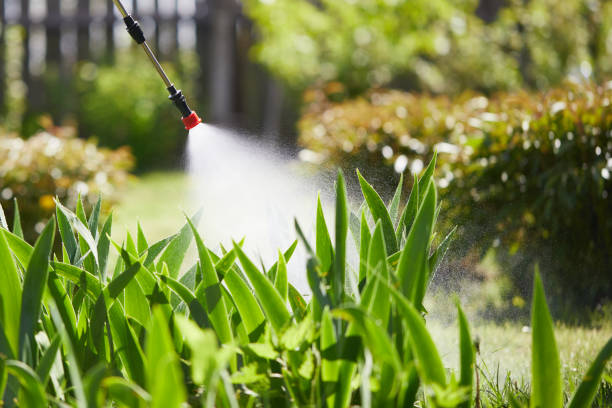 24/7 Emergency Mosquito Control experts in Fenton, MI