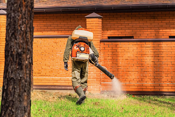 Top rated local Mosquito Control specialists in Fenton, MI